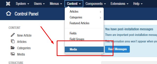 Using Joomla Video Player